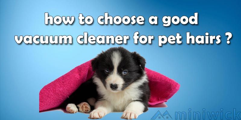 how to choose a good vacuum cleaner for pet hairs