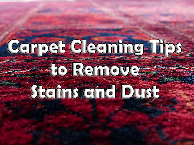 carpet cleaning tips and trick to remove stains and dust