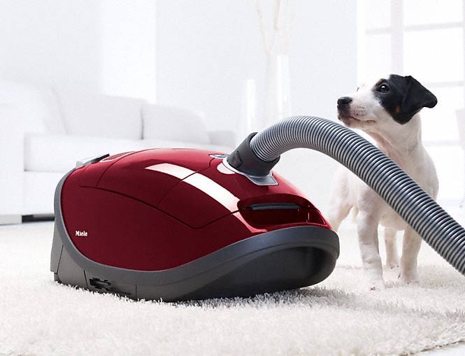 best canister vacuum for pet hair