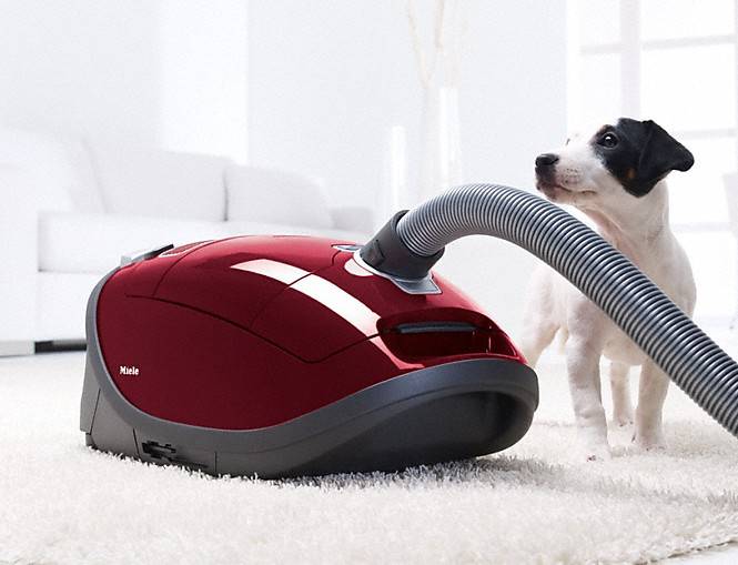 najlepszy kanister vacuum for Pet hair